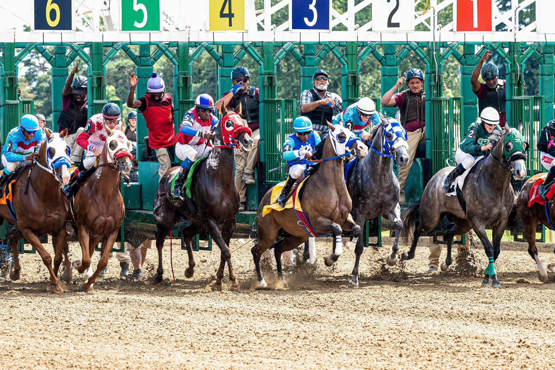 Racehorses and jockeys breaking from a starting gate.
